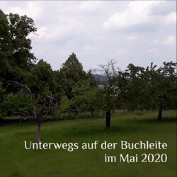 Unterwegs auf der Buchleite