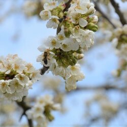 Frühlingsfarben