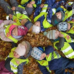 Herbstfreuden auf der Buchleite