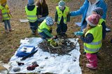 Die Vögel werden ins Nest gesetzt | © Umweltstation Altmühlsee