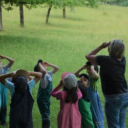 Die Stockwerke der Streuobstwiese