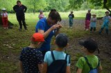 Auf Insektensuche | © LBV Umweltstation Altmühlsee