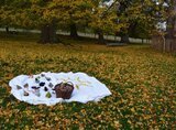 Eine Sonne aus Lindenblättern und viele Tierfreunde warten auf die Kinder | © LBV Umweltstation Altmühlsee