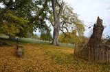 Goldener Herbst auf der Buchleite | © LBV Umweltstation Altmühlsee