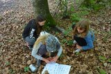 Gemeinsam werden die Bodenlebewesen bestimmt | © LBV Umweltstation Altmühlsee