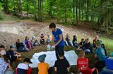 Welche Fledermäuse leben auf der Buchleite? | © LBV Umweltstation Altmühlsee