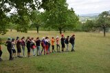 die Käferkolonne zieht durch die Buchleite | © LBV Umweltstation Altmühlsee