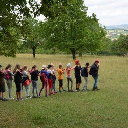 Lebensräume auf der Buchleite 