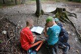 Welche Tiere leben im Waldboden? | © LBV Umweltstation Altmühlsee