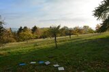 Kinder beim Aufstieg zur sonnig-herbstlichen Buchleite | © LBV Umweltstation Altmühlsee