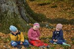 Winterschlaf wie beim Igel | &copy; LBV Umweltstation Altmühlsee