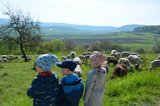 Kinder schauten sich die Herde aus Schafen, Lämmern und Ziegen genau an. | © LBV Umweltstation Altmühlsee