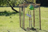 Der von den Kindergarten-Kindern im Herbst gepflanzte Apfelbaum freut sich über kühles Nass  | © LBV Umweltstation Altmühlsee