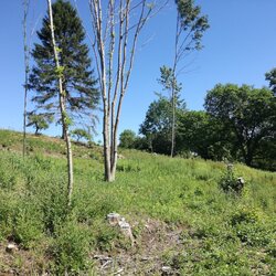 Wir k&uuml;mmern uns