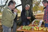 © Andrea Kerskes / Regierung von Mittelfranken