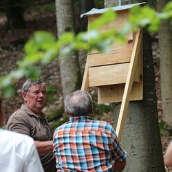 Pressetermin Fledermauskästen