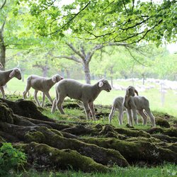 BayernTour Natur 2014