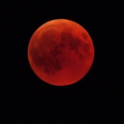 Vollmond&shy;abenteuer auf der Buchleite