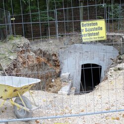 Ein Keller f&uuml;r die Fledermaus