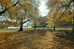 Goldene Sieben Linden | © LBV Umweltstation Altmühlsee