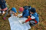 Bodenschichten entdecken | © LBV Umweltstation Altmühlsee