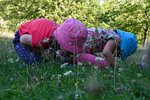 Aus der Perspektive einer Maus nehmen die Kinder den Wiesenboden ganz genau ins Visier | &copy; LBV Umweltstation Altmühlsee