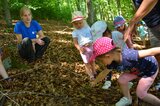 Wir schauen uns den Waldboden ganz genau an | © LBV Umweltstation Altmühlsee