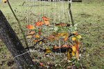 © Heidrun Albrecht / LBV