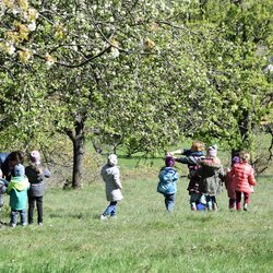 Blütenzauber im April