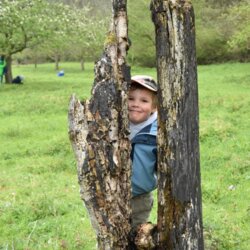 Bl&uuml;tenzauber im Mai