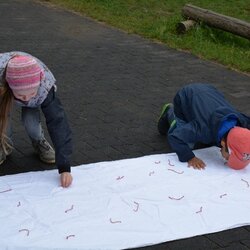 H&uuml;pfen wie eine Amsel, klopfen wie ein Specht