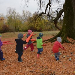 Winterschlaf und Vogelzug