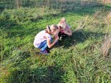Schauen wie Insekten | © LBV Umweltstation Altmühlsee