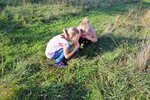Schauen wie Insekten | &copy; LBV Umweltstation Altmühlsee