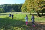 Wildbienen beobachten | &copy; LBV Umweltstation Altmühlsee