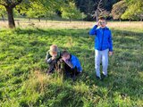 Mit Facettenaugen sehen | © LBV Umweltstation Altmühlsee