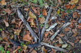 Totholz landart | © Martina Widuch / LBV