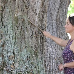 Das Umwelt&shy;bildungs&shy;programm geht weiter