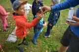Dörrobstchips probieren | © LBV Umweltstation Altmühlsee