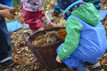 Laub sammeln für Igel Mecki | © LBV-Umweltstation Altmühlsee