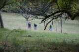 Tiere und Pflanzen bestimmen und protokollieren | © LBV Umweltstation Altmühlsee