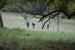 Tiere und Pflanzen bestimmen und protokollieren | © LBV Umweltstation Altmühlsee
