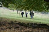Tiere und Pflanzen bestimmen und protokollieren | © LBV Umweltstation Altmühlsee