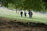 Tiere und Pflanzen bestimmen und protokollieren | © LBV Umweltstation Altmühlsee