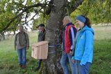 Wiedehopfkasten | © LBV-Umweltstation Altmühlsee