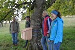Wiedehopfkasten | © LBV-Umweltstation Altmühlsee