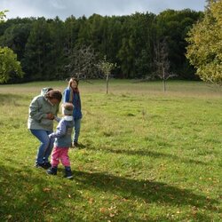 Kindergartenkinder entdecken die Wiesen
