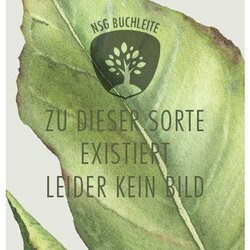 Edelgrauech