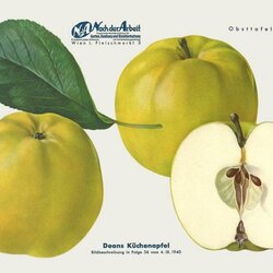 Deans Kuechenapfel