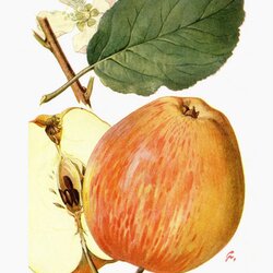 Schöner aus Herrnhut
